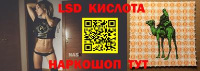 прущие крисы Абакан