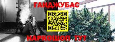 прущие крисы Абакан