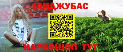 прущие крисы Абакан